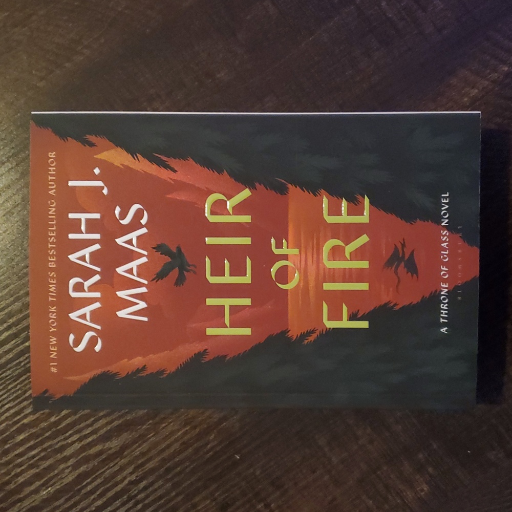 Adult Fiction Book